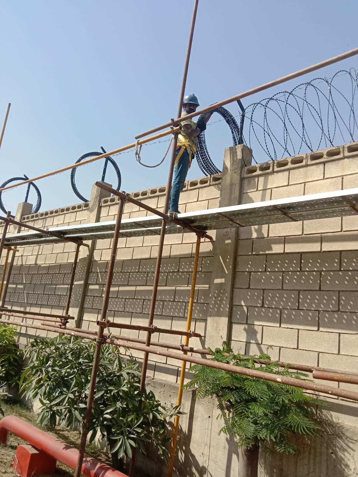Installing concertina razor wire on perimeter wall using scaffold
