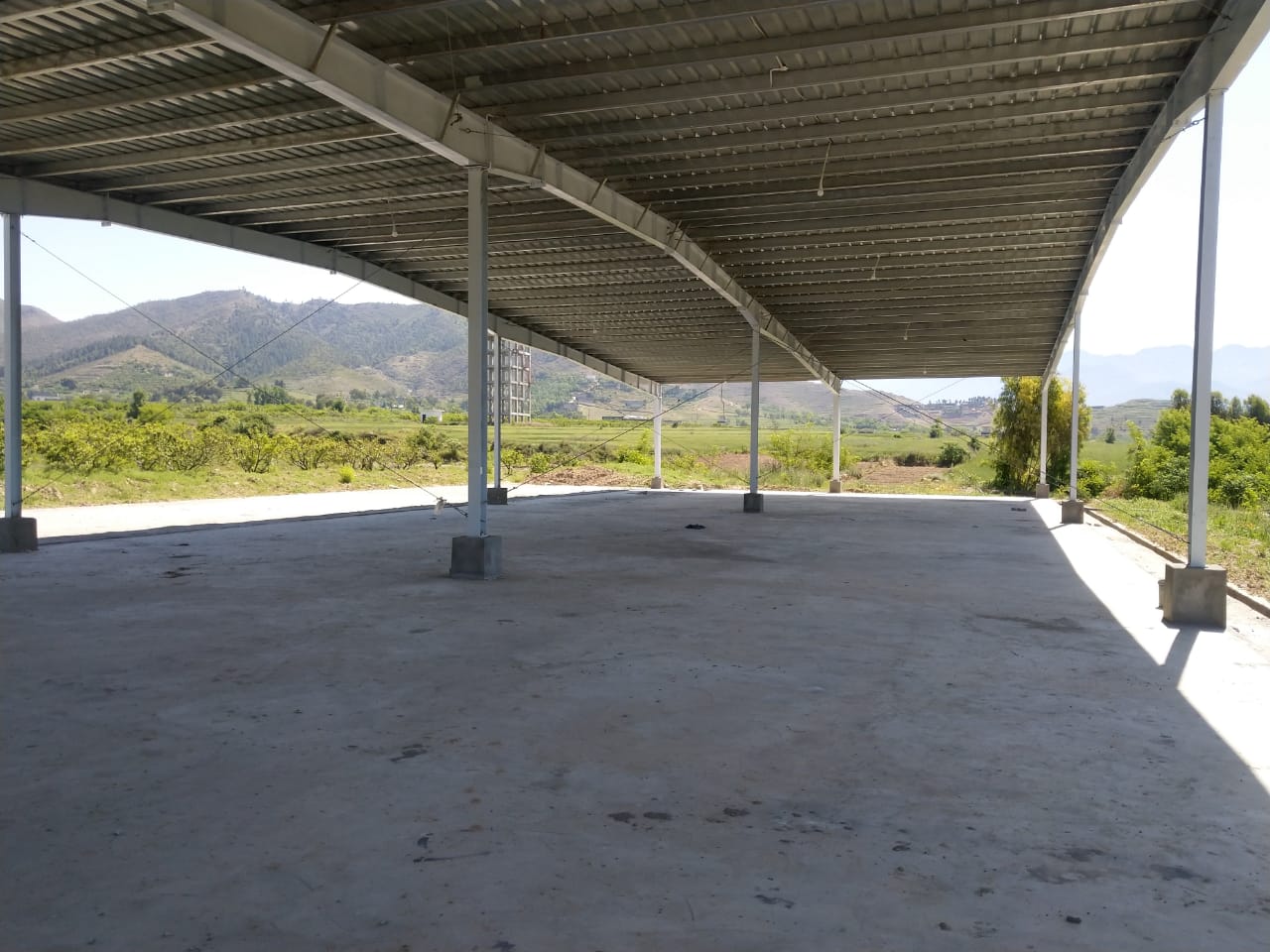 Large-span steel shed fabricated and erected at site
